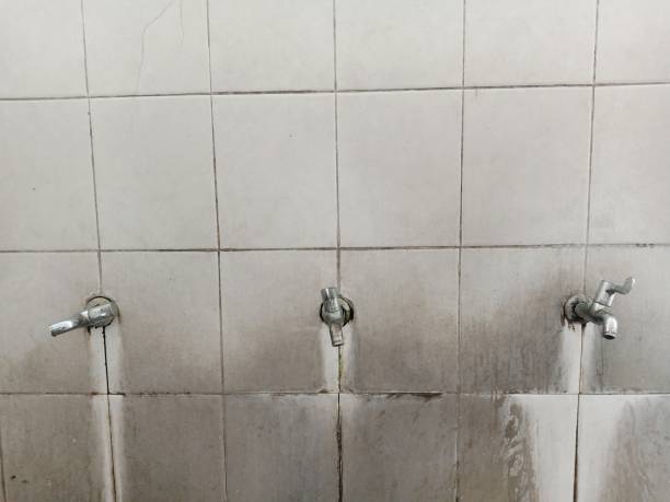 Best Emergency water damage restoration  in Braddock Hills, PA