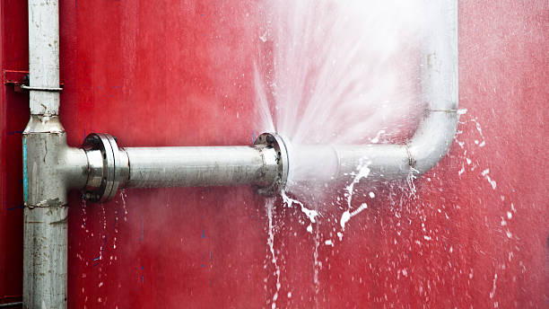  Braddock Hills, PA Water damage restoration Pros